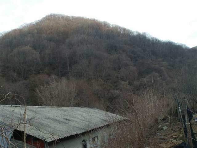 202001134054