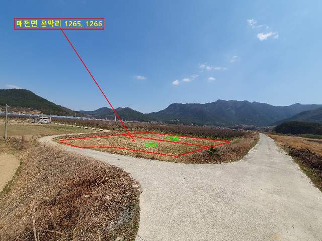 2020020767223
