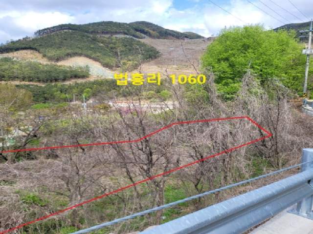 2020032477628