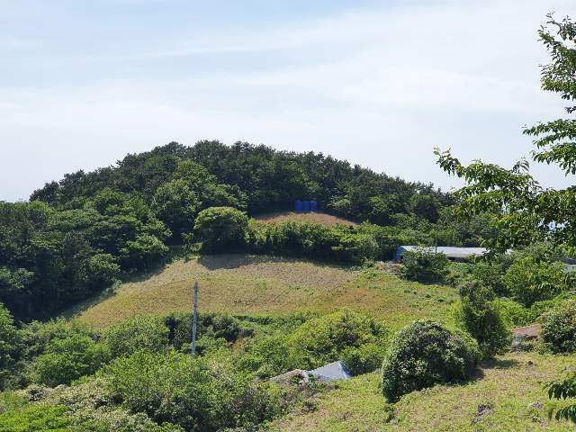 202004559003