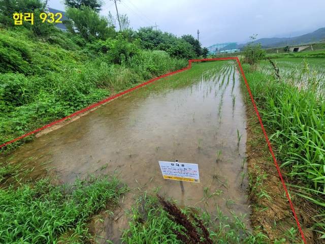 2020060398580