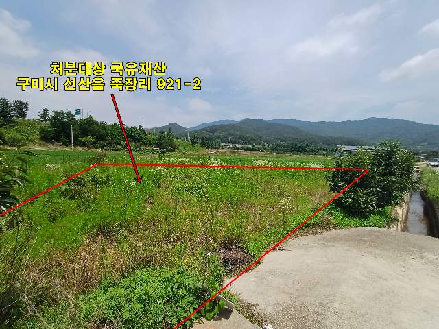 2020090325217
