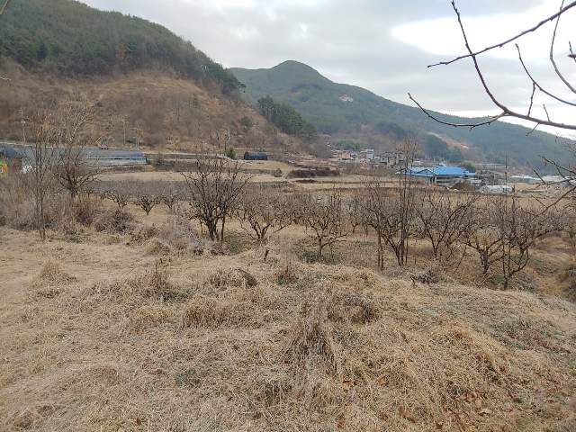 202010213001