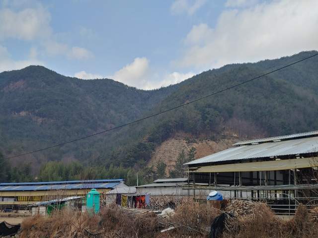 202010213001