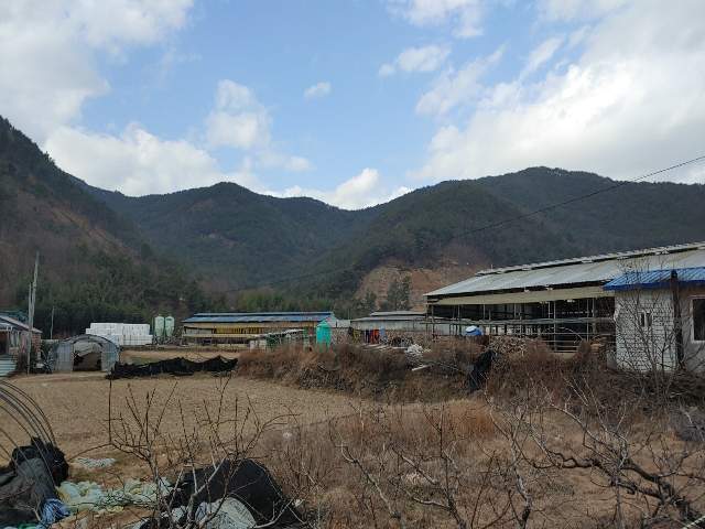 202010213001
