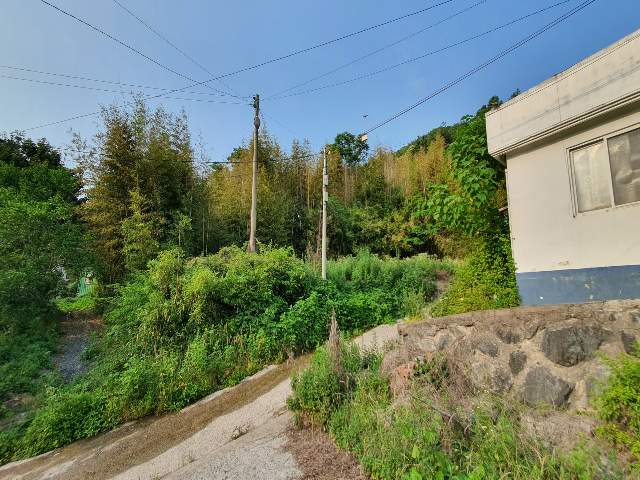 202010510001