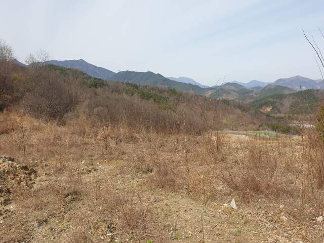 202011415001