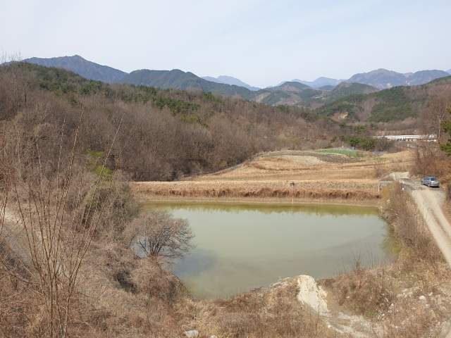 202011415001