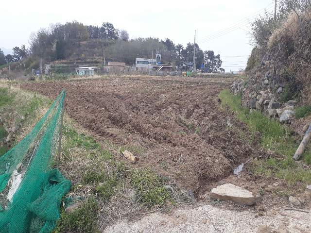 202014029002