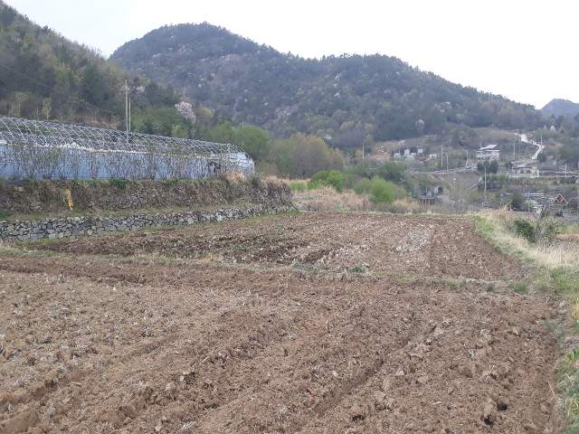 202014029002