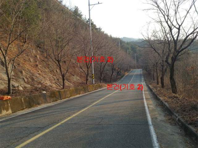 202014974004
