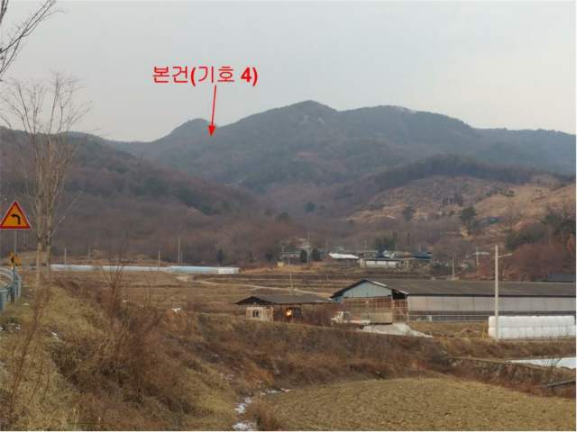 202014974004