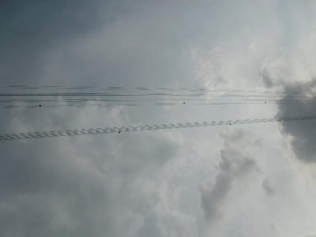 202106988003
