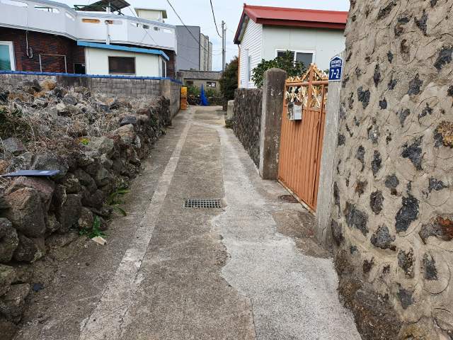 202107366005