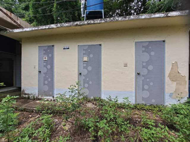 20210800042217