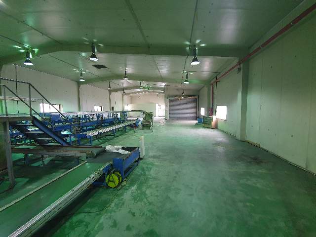 20210900045011