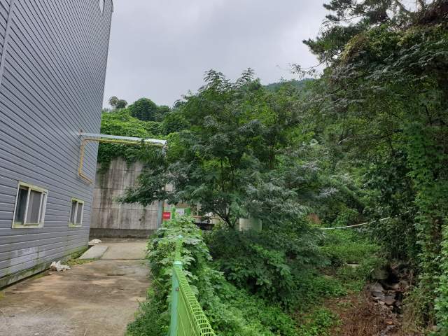202109356001