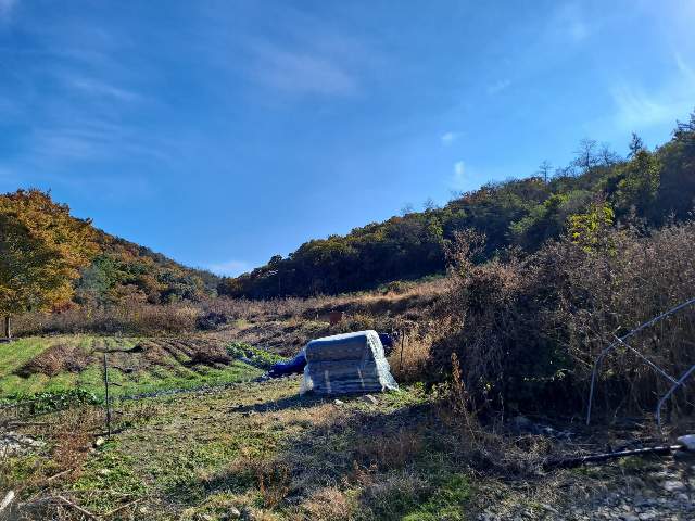 202110290002