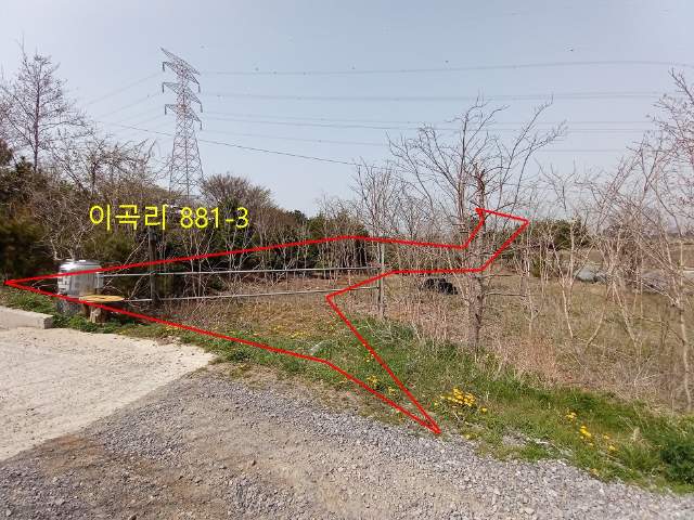 2021121097125