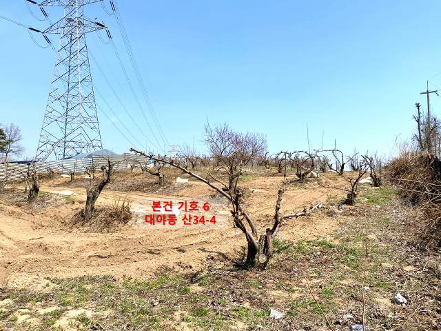 202114499004