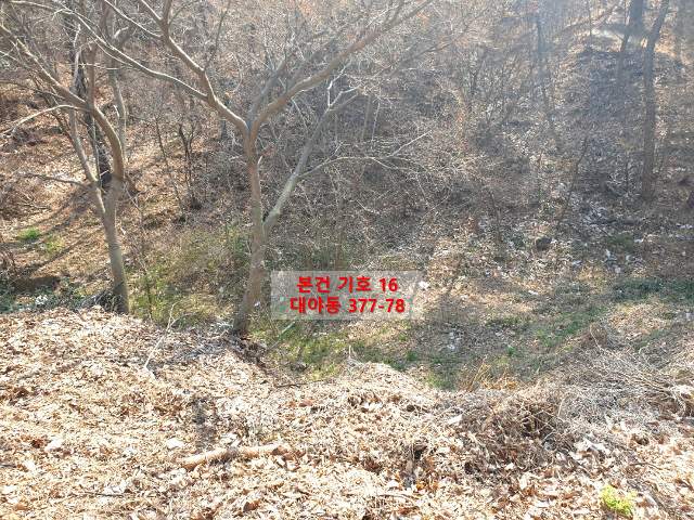 202114499004
