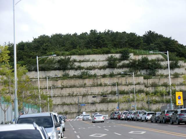 202200991001