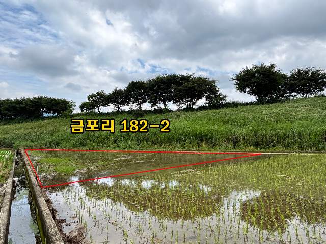 2022101124216
