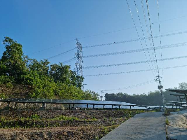 202302633004