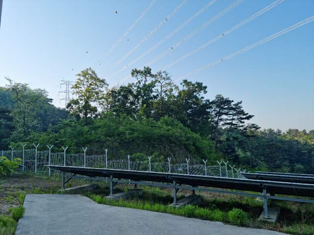 202302633004