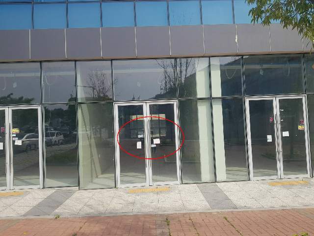 202303484007
