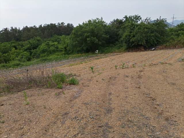 202304571001