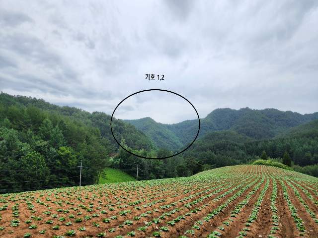 202305625004