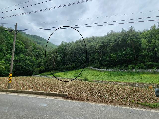 202305625004