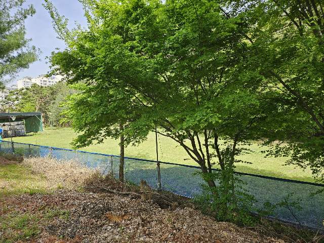 경매마당 공매정보 2024-02361-001의 시세, 권리분석, 상세정보