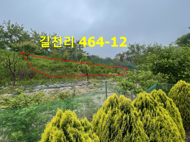 2024062776412