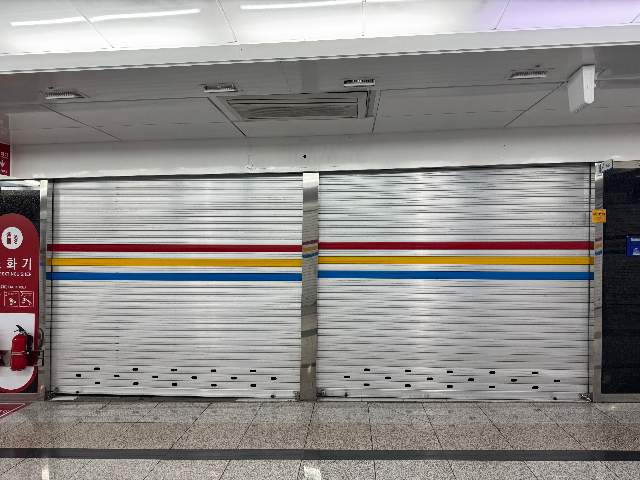 20250100005308