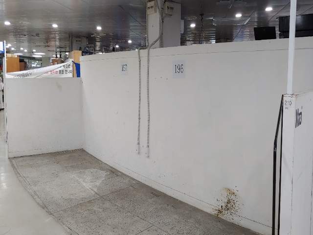 20250300019626