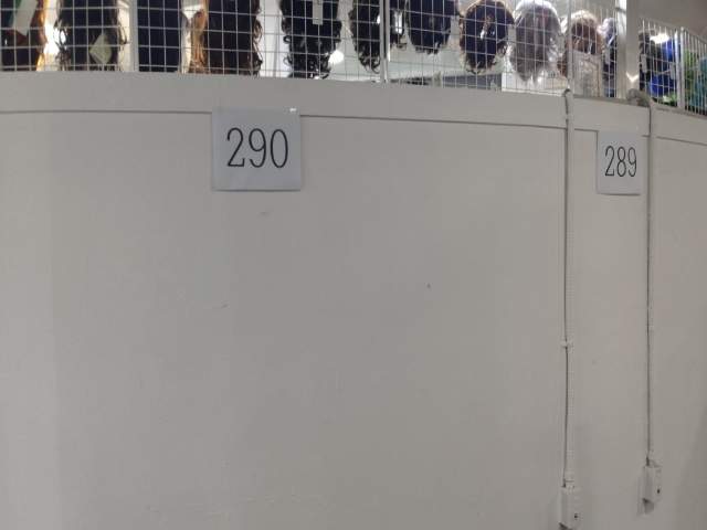 20250300019643