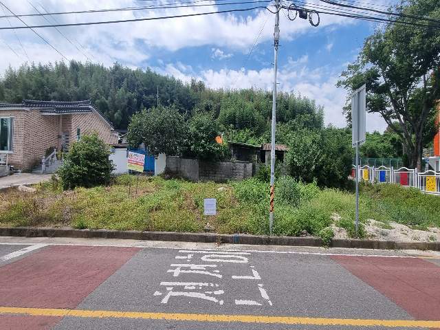 20250500028153