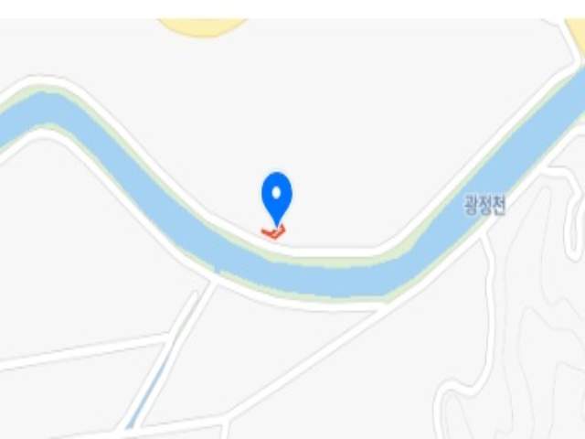 20250500028241