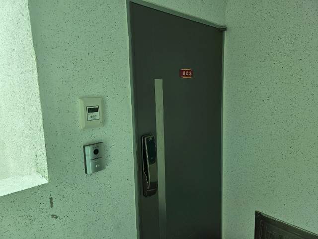 20250500029806