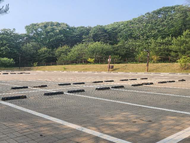 20250500034025