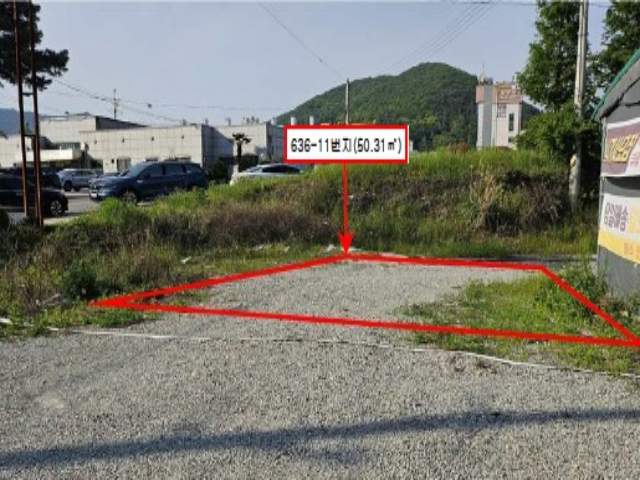 20250600038168