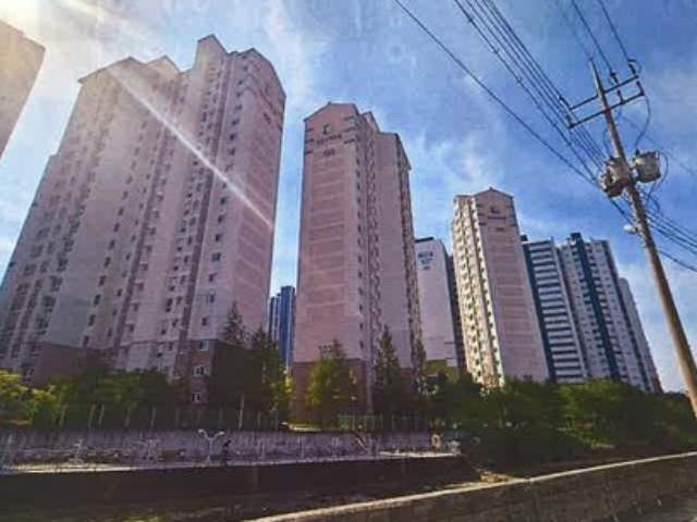 20250600038241