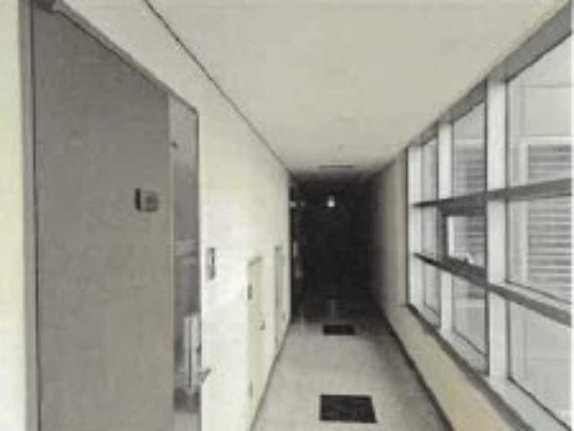 20250600038441