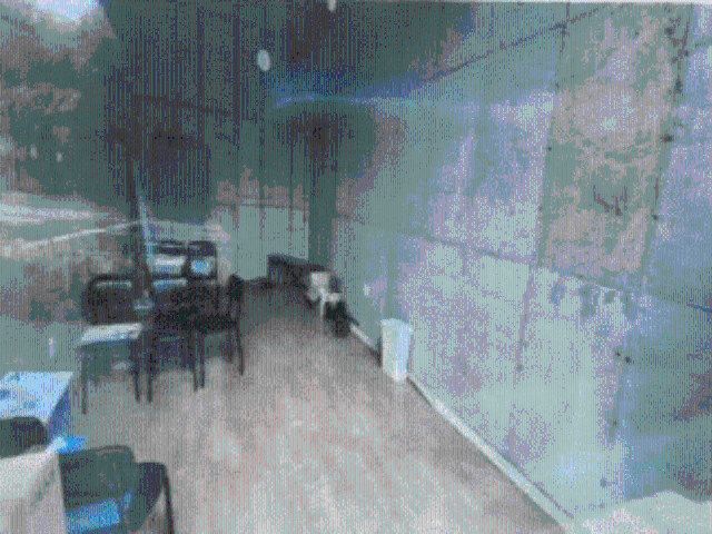 20250600040696