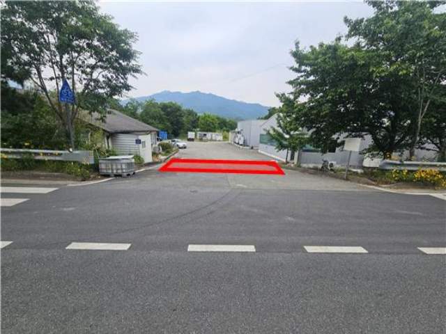 20250600042436