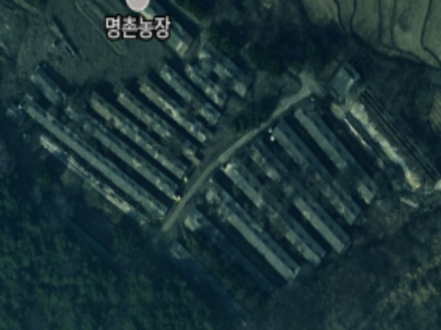 20250600042948