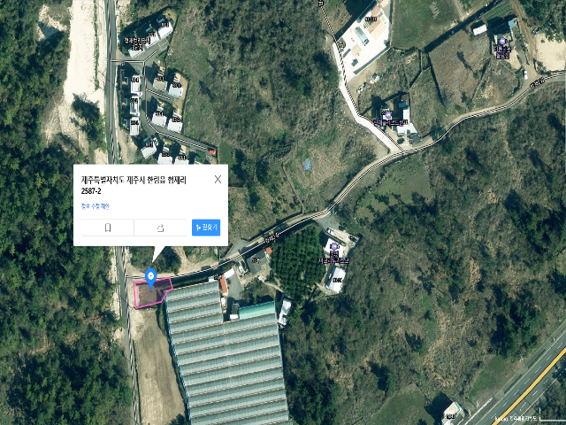 20250700046415