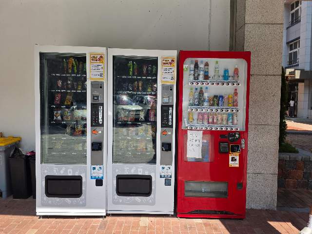 20250700049058